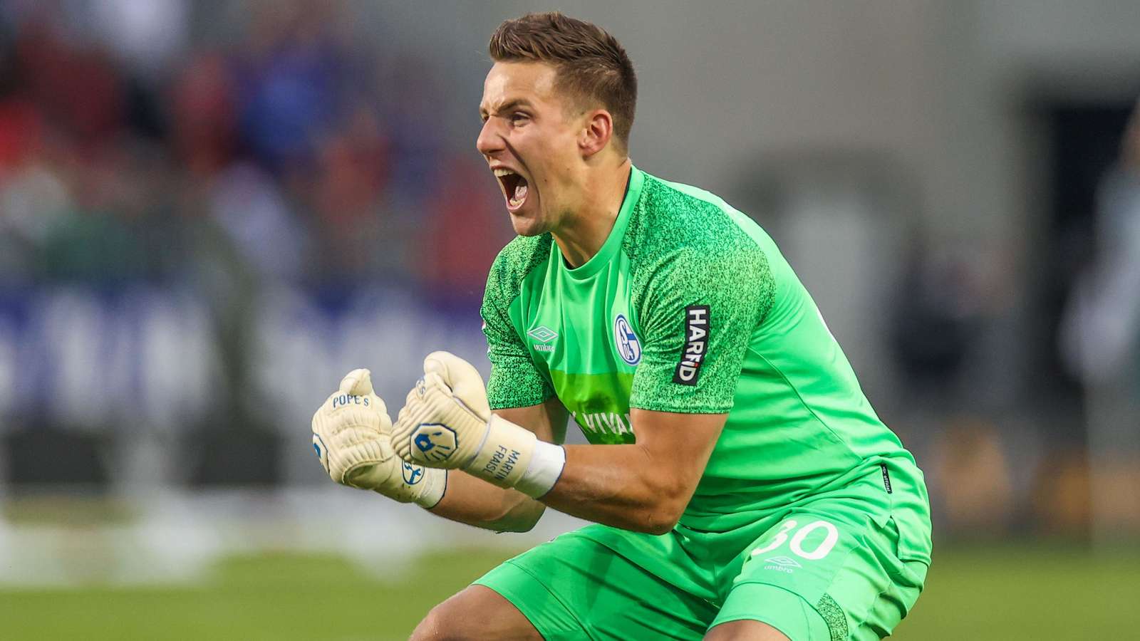 Martin Fraisl Schalke 04